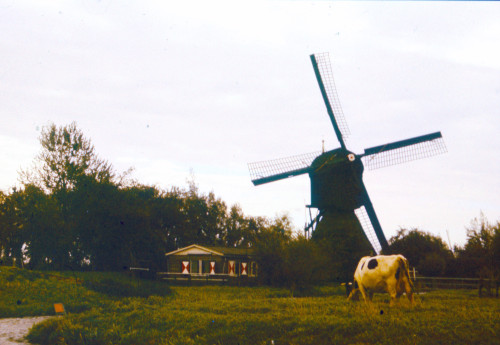 PU-Z-005: fotografski negativ