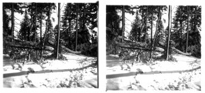 MUO-035131/07: Šuma prekrivena snijegom: stereodijapozitiv