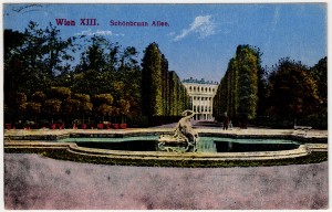 MUO-008745/131: Beč -  Aleja u Schönbrunnu: razglednica