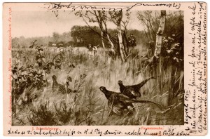 MUO-037240: Lov na fazane: razglednica