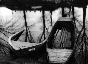 MUO-052689: Potopljeni čamci na Bosutu II: fotografija