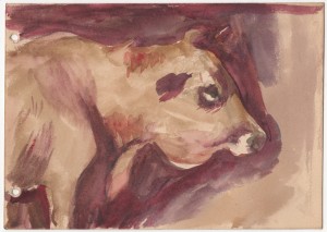 MUO-056561/02: Krava: akvarel
