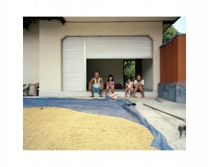 MUO-056859: Indonesian Rice Workers: fotografija