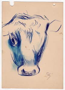 MUO-056561/05: Skica kravlje glave: crtež