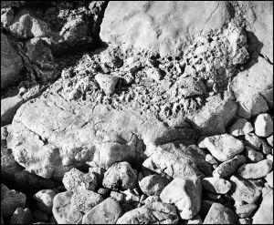 MUO-040507: Kamen spužva II: fotografija