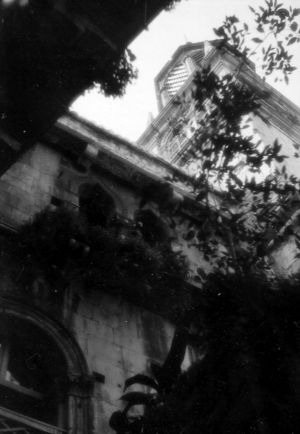 MUO-044154: Zvonik Trogirske katedrale: negativ