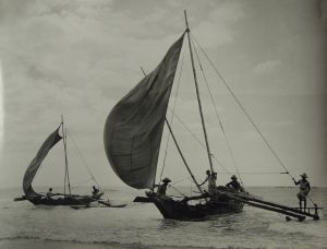 MUO-035729: Povratak s ribolova, Colombo, 1955.: fotografija