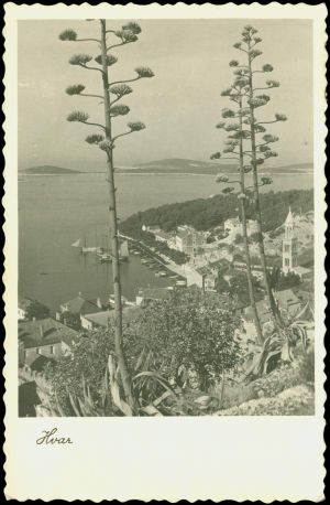 MUO-032997: Hvar - Panorama: razglednica
