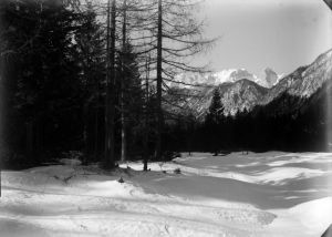 MUO-051230: Dolina Julijskih Alpi: negativ