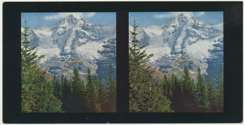 MUO-034148/04: Švicarska I - Mönch s Wengern Alpa: stereoskopska fotografija