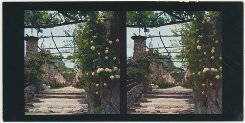 MUO-034137/04: Amalfi - Sorrent; Vrtovi palče Rufolo u Ravellu: stereoskopska fotografija