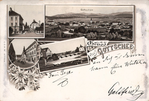 MUO-008745/1262: Kočevje - Gottschee: razglednica