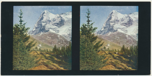 MUO-034144/01: Švicarska - Eiger: stereoskopska fotografija