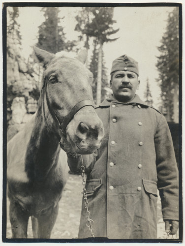 MUO-036413: Vojnik i konj: fotografija