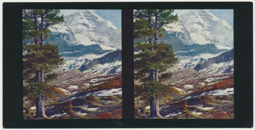 MUO-034148/03: Švicarska I - Pogled s Malog Scheidegga: stereoskopska fotografija