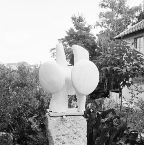 MB-6x6-A-01-0053: negativ