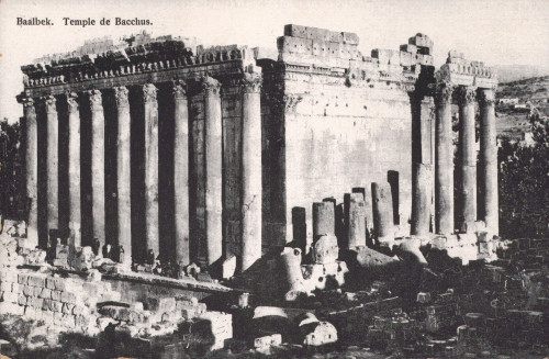 MUO-013346/117: Bliski istok - Baalbek; Bacchusov hram: razglednica