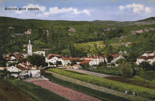 MUO-008745/1233: Slovenija - Ilirska Bistrica; panorama: razglednica