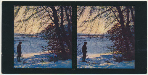 MUO-034138/04: Winterbilder - Zimsko jutro: stereoskopska fotografija