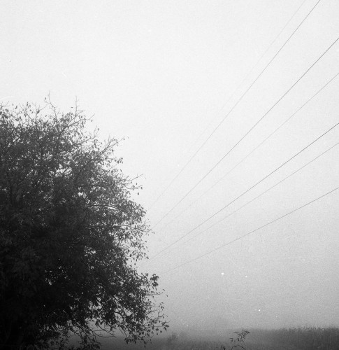 JK-0025: fotografski negativ