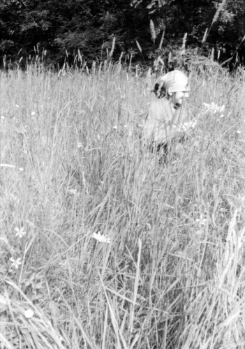 NS-1978-01: fotografija