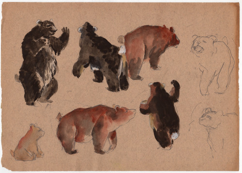 MUO-059379: Medvjed Brundo: ilustracija