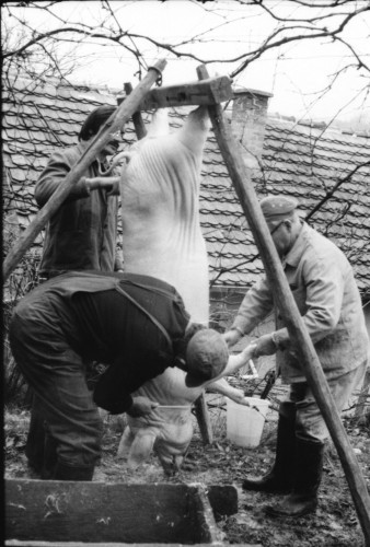 NS-1979-12: fotografija