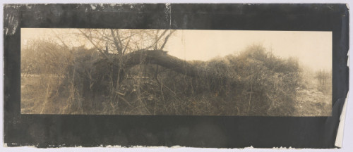 JK-0073: fotografija