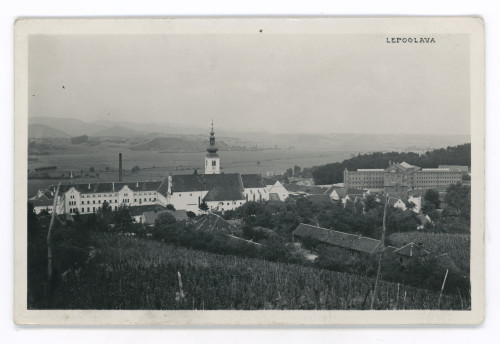 MUO-035253: Lepoglava - Panorama: razglednica