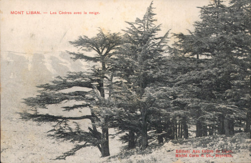 MUO-013346/155: Bliski istok - Mont Liban: razglednica