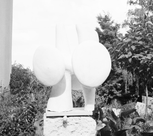 MB-6x6-A-01-0051: negativ