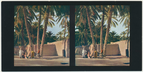 MUO-034146/03: Alžir - Oaza Biskra; Ulična scena: stereoskopska fotografija