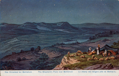 MUO-060172/55: Reprodukcija Johann Friedrich Perlberg : Pastirsko brdo u blizini Betlehema: dopisnica
