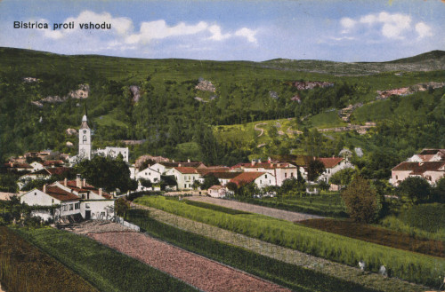 MUO-008745/1232: Slovenija - Ilirska Bistrica; panorama: razglednica