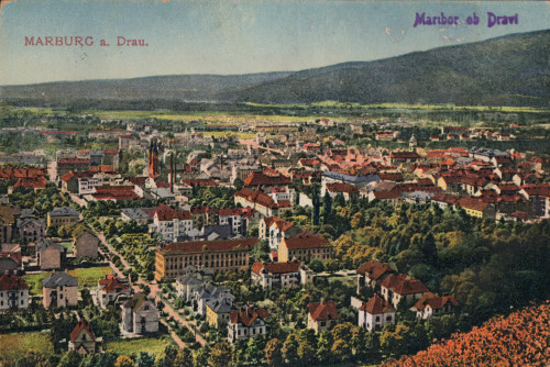 MUO-008745/1560: Slovenija - Maribor; panorama: razglednica