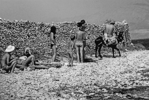 MUO-057875: Neobični posjetitelj na plaži u Supetru: fotografija