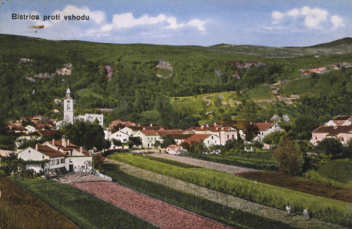 MUO-008745/1116: Slovenija - Ilirska Bistrica; panorama: razglednica
