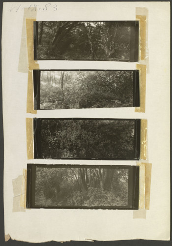JK-0098: fotografija