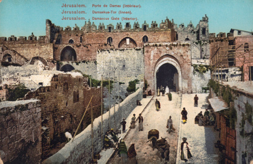 MUO-013346/151: Izrael - Jeruzalem; Gradska vrata: razglednica