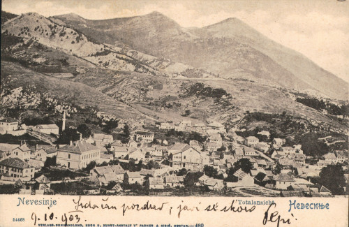MUO-008745/534: BiH - Nevesinje; Panorama: razglednica