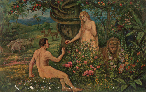 MUO-060172/60: Rajski vrt - Adam i Eva: dopisnica