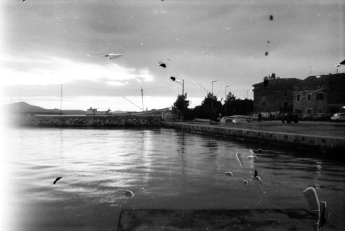 NS-1978-04: fotografija