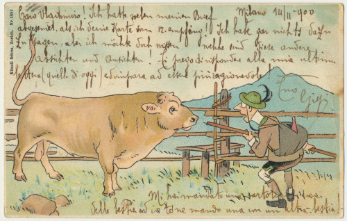 MUO-030142: Krava i pastir: razglednica