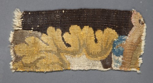 MUO-009898/17: Fragment tapiserije: fragment tapiserije