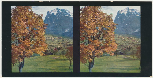 MUO-034148/01: Švicarska I - Berner Oberland; Grindelwald: stereoskopska fotografija